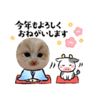 可愛い猫のさくらちゃん（個別スタンプ：28）
