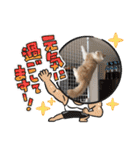 可愛い猫のさくらちゃん（個別スタンプ：29）