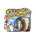 可愛い猫のさくらちゃん（個別スタンプ：30）