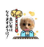 可愛い猫のさくらちゃん（個別スタンプ：31）