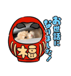 可愛い猫のさくらちゃん（個別スタンプ：34）