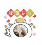 可愛い猫のさくらちゃん（個別スタンプ：36）