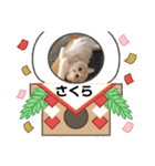 可愛い猫のさくらちゃん（個別スタンプ：39）