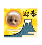 可愛い猫のさくらちゃん（個別スタンプ：40）