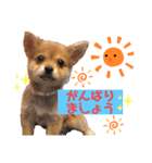 ロクスタンプ best（個別スタンプ：2）