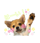 ロクスタンプ best（個別スタンプ：6）