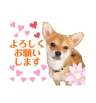 ロクスタンプ best（個別スタンプ：7）