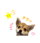 ロクスタンプ best（個別スタンプ：8）