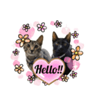 My Pet’s（個別スタンプ：2）