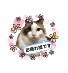 My Pet’s（個別スタンプ：9）