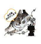 My Pet’s（個別スタンプ：11）