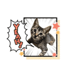 My Pet’s（個別スタンプ：15）
