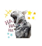 My Pet’s（個別スタンプ：28）