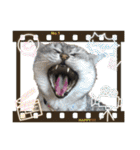 My Pet’s（個別スタンプ：29）
