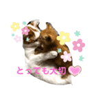 つくしの家族4（個別スタンプ：1）