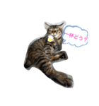 つくしの家族4（個別スタンプ：5）