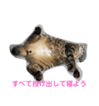 つくしの家族4（個別スタンプ：7）