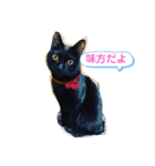 つくしの家族4（個別スタンプ：8）