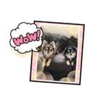 コロン＆ココア♡（個別スタンプ：4）