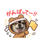 コロン＆ココア♡（個別スタンプ：6）