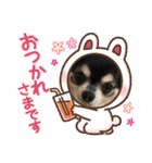 コロン＆ココア♡（個別スタンプ：8）