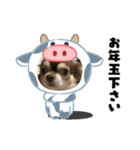 コロン＆ココア♡（個別スタンプ：9）