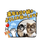 コロン＆ココア♡（個別スタンプ：10）