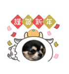 コロン＆ココア♡（個別スタンプ：19）