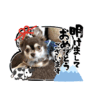 コロン＆ココア♡（個別スタンプ：24）