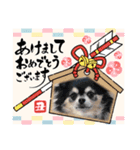 コロン＆ココア♡（個別スタンプ：27）