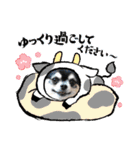コロン＆ココア♡（個別スタンプ：31）
