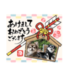 コロン＆ココア♡（個別スタンプ：33）