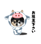 コロン＆ココア♡（個別スタンプ：34）
