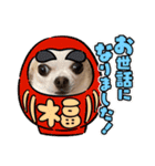 愛犬きくのスタンプ 日常的に使える（個別スタンプ：2）