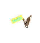 愛犬きくのスタンプ 日常的に使える（個別スタンプ：5）