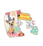 愛犬きくのスタンプ 日常的に使える（個別スタンプ：10）