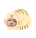 2021 ©️（個別スタンプ：36）