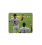 しろ＆ちゃのいる生活（個別スタンプ：9）