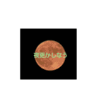しろ＆ちゃのいる生活（個別スタンプ：16）