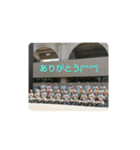 しろ＆ちゃのいる生活（個別スタンプ：19）