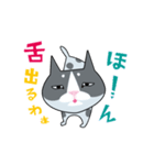 舌がちょっと出る猫（個別スタンプ：16）