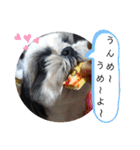 我が家のシーズー犬もじゃ 18（個別スタンプ：15）