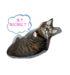 つくしの家族 多めバージョン（個別スタンプ：14）