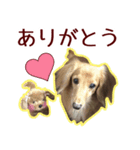 犬のボンちゃん（個別スタンプ：2）