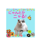 スコてん（個別スタンプ：4）