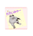 スコてん（個別スタンプ：8）