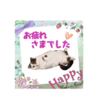スコてん（個別スタンプ：9）