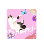 スコてん（個別スタンプ：11）