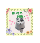 スコてん（個別スタンプ：13）