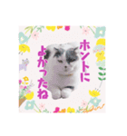 スコてん（個別スタンプ：14）